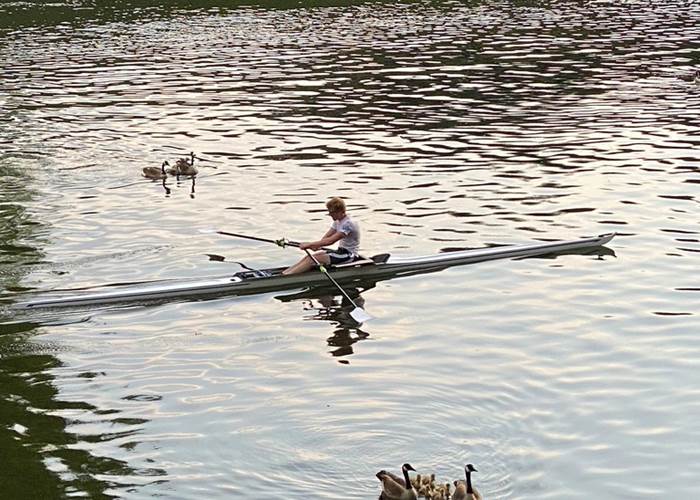 Aviron sur l'Ourthe