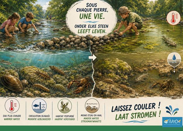 casser-les-barrage-sensibilisation-environnement-riveo-hotton