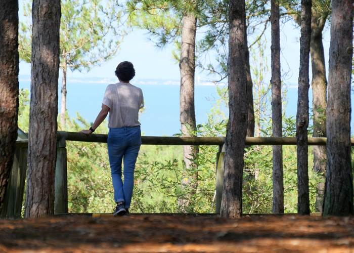 point de vue buzelière saint jean de monts vendée