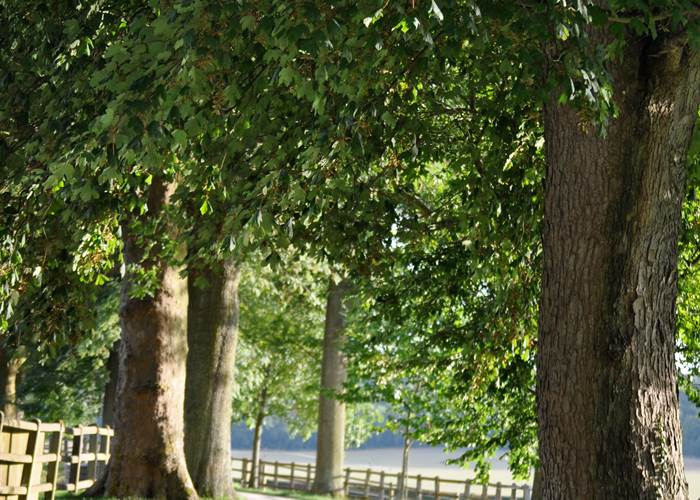 Chambres d'hôtes Oise, Chambres au château, Gites de charme Oise, Hotel Beauvais,