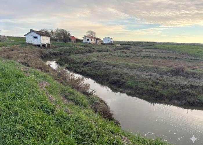 Port Paradis Charente Maritime Nieulle sur Seudre