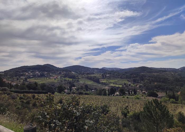 Vue sur les vignes