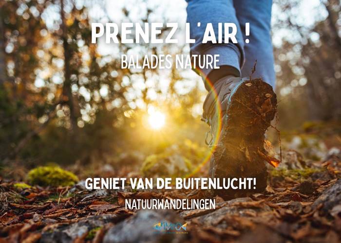 balades-nature-riveo-hotton-ardenne