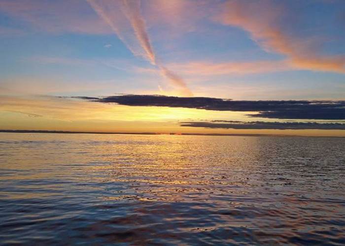 486320017_1837542737031011_2281403820407290135_n