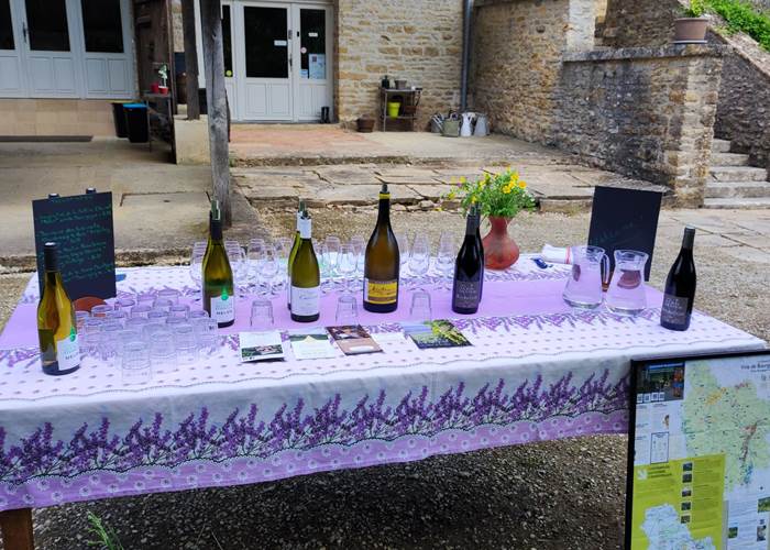 Activités sur mesure : dégustation de vins