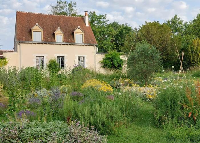 chambres-d-hotes-amboise-maison-chemin-jardin-plantes-aromatiques-medicinales