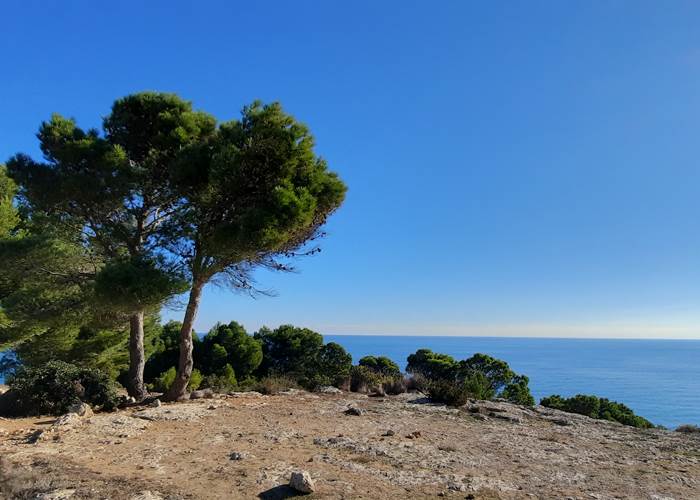 des vacances sous un beau ciel bleu