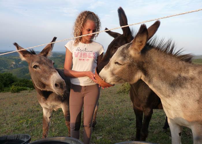 Les änes du Prat de Mu