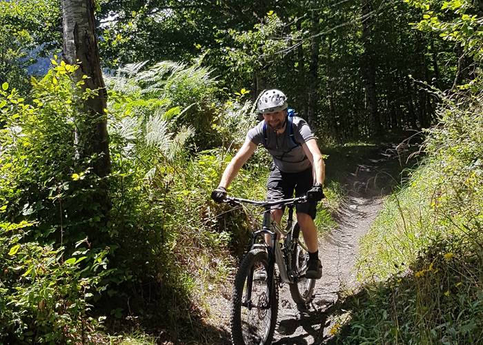 VTT