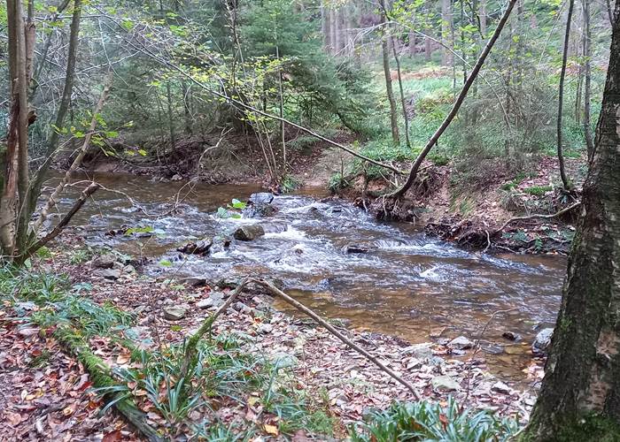 Petit ruisseau sur notre parcours