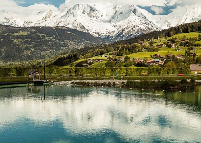 Le Mont-Blanc en été - Lac Biotope