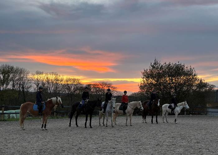 Cours d'équitation