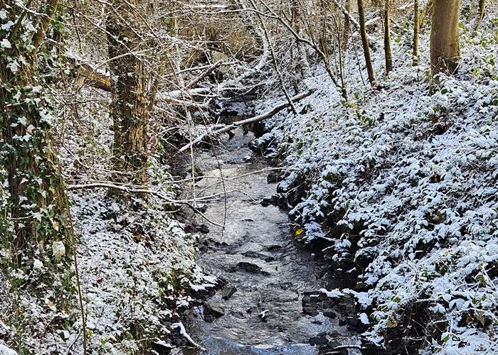 Ruisseau près de Hourpes