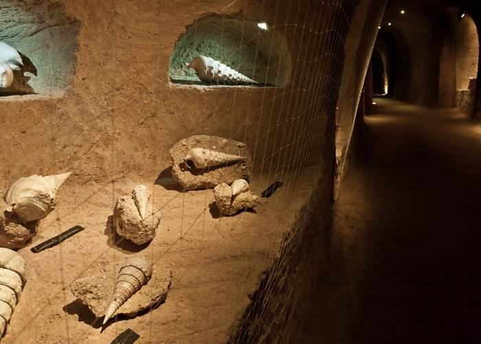 La Cave aux coquillage Fleury la Rivière