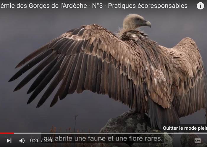 La Réserve des Gorges de l'Ardèche depuis l'Ecogîte 1000 Pailles