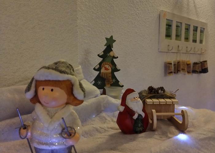 Magie de Noël à Le Coq du Nord-Mailhac 🌲🌲🌲