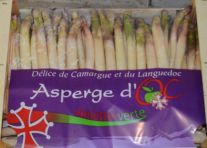 Sans titre