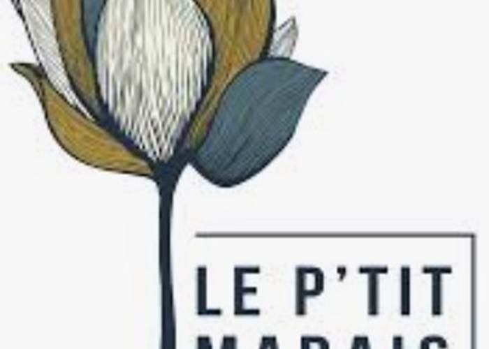 Sans titre