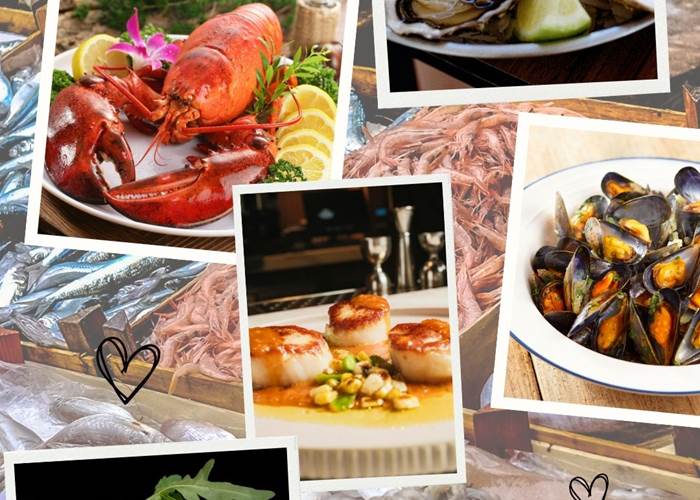 Fruits de mer extra frais au Colombier Bretagne chambres d'hôtes de charme