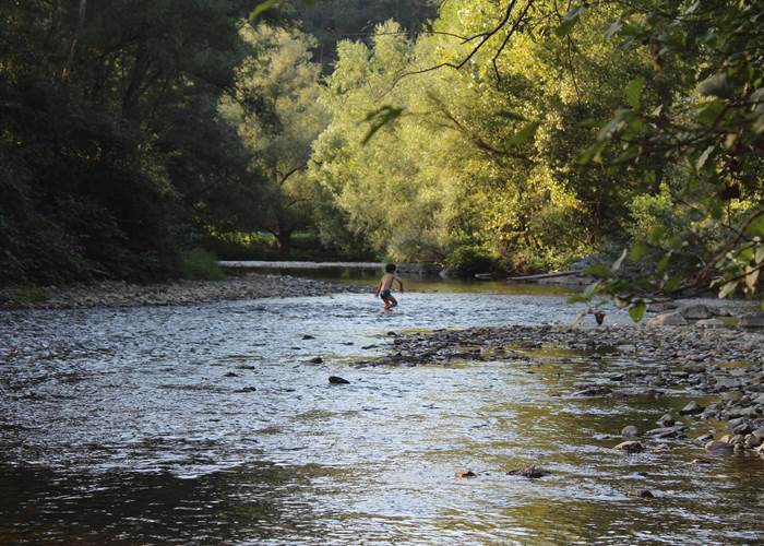 pêche en rivière saumon truite gave d'aspe gave d'oloron gave de pau