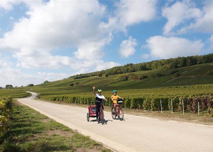 Découvrir la Champagne à vélo au printemps