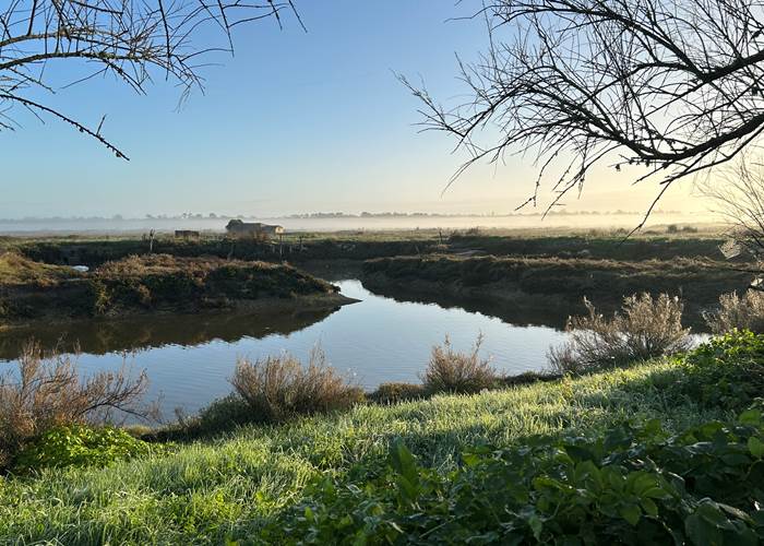 Balade dans les marais salants au départ de Maison Ginette