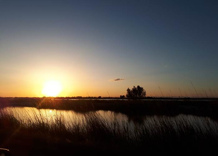 Le couché du soleil en Camargue