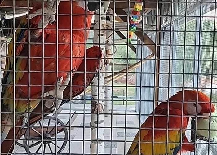 maison d’hôtes originale Sarthe