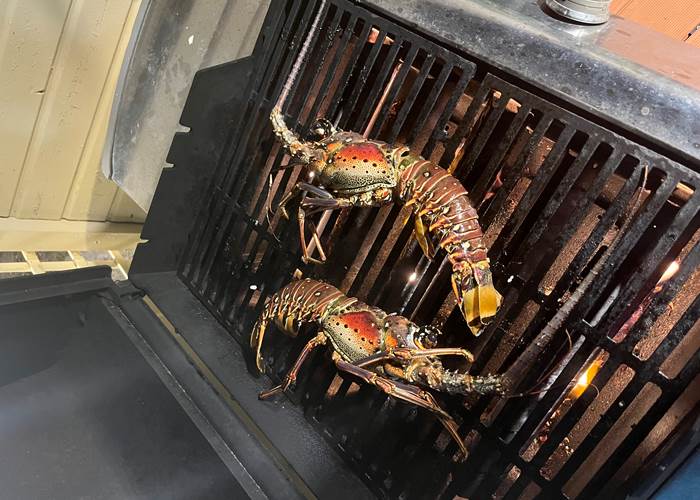 Les langoustes au barbecue