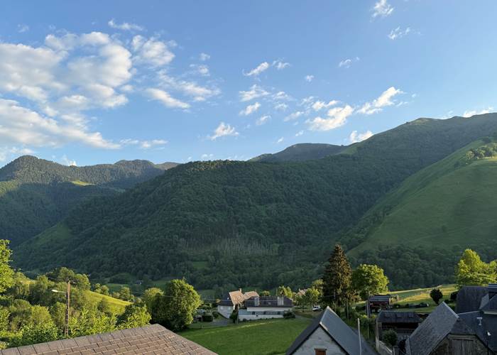Panorama