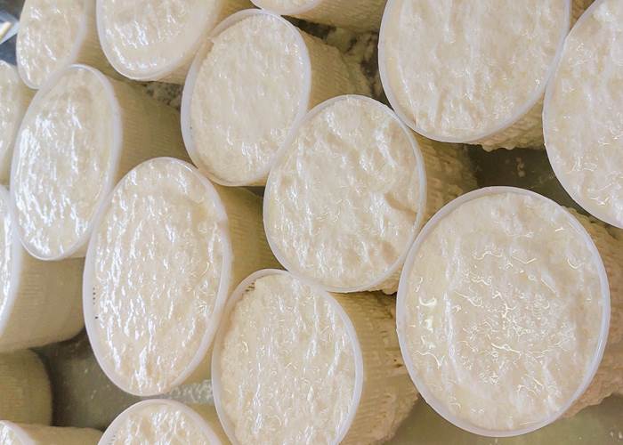 Brocciu Frais & Fromages Corses / Table d'Hôtes Domaine Cardu