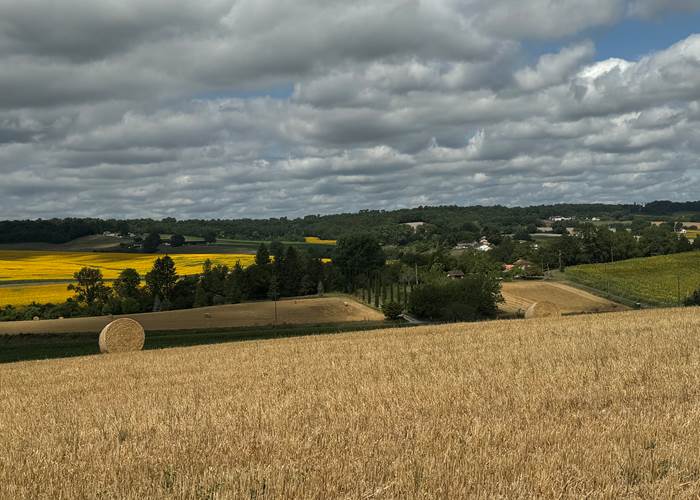vue sur les champs depuis la terrasse