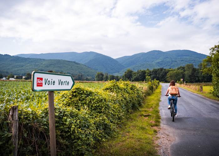 Voie verte Tarn - 16 Bis gite hotel Marssac-news