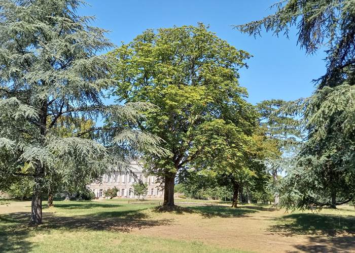 Le Château de la Pannonie
