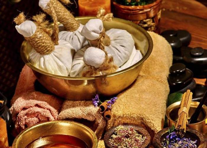 Bilan ayurvédique personnalisé