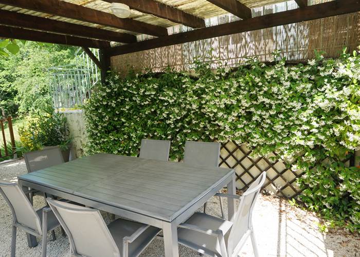 Pergola et jasmin chambres d'hôtes Les Feuillantines Périgord