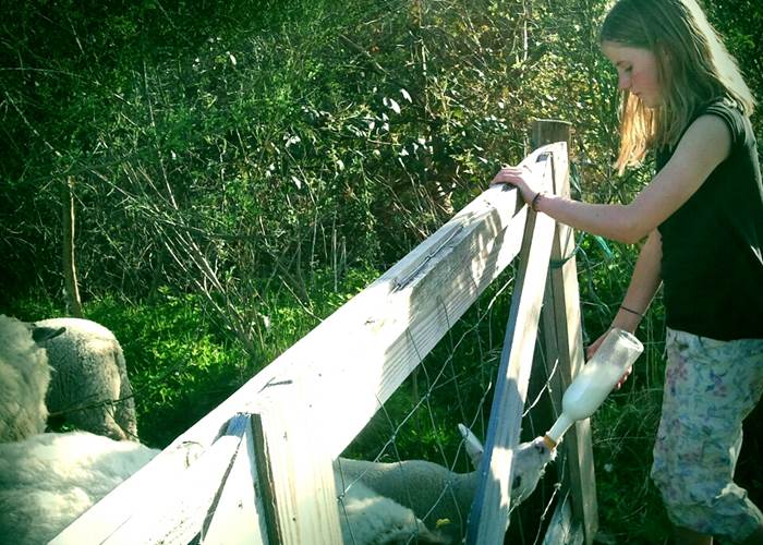 tour animalier, dieren rondje, animal tour