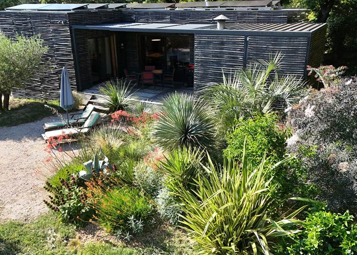 lacabanepetillante-jardin-sans-arrosage-palmier-yucca-lesangles