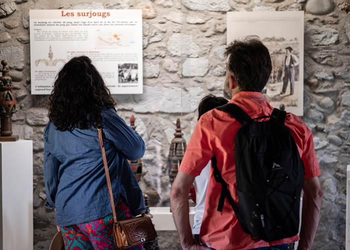 Chateau-fort-visite-pyrénées