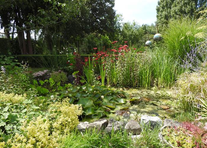 Jardin 6