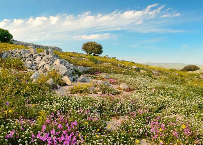 Villa Dolce Valle - Ragusa