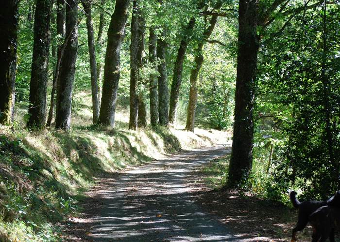 partons en balade sur le chemin des Fantaisies au ranch des Lacs
