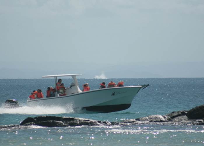 Départ excursion baleines