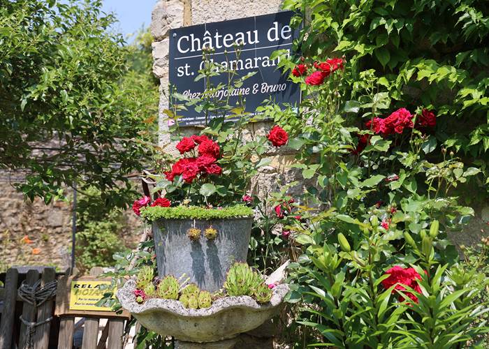 Chateau de Saint Chamarand - Exterieur, terasse et jardin