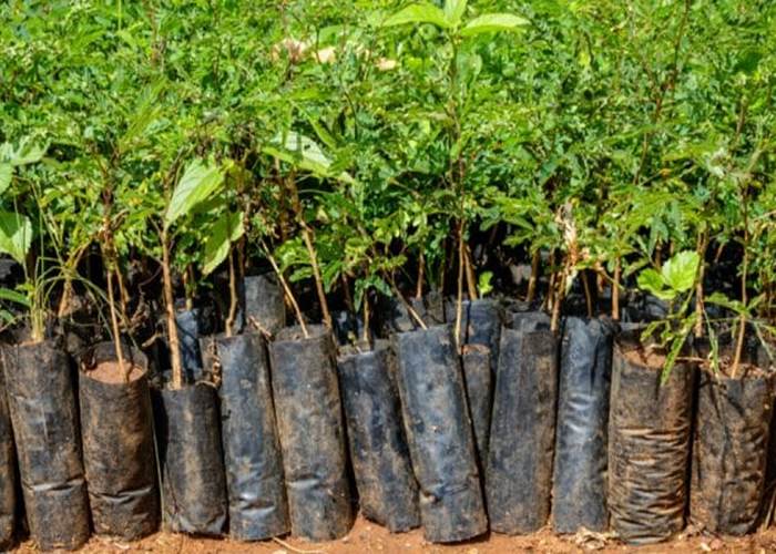 shutterstock_756780151-1-800x400-news