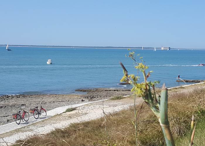 Vélodyssée - Balade à vélo en Charente-Maritime - Port des Barques