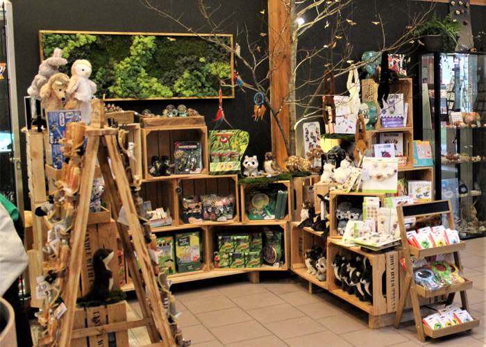 shop chlorophylle jeux