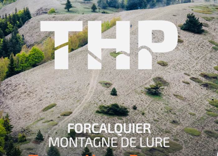 Sans titre