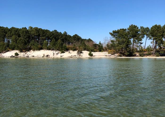 Put Blanc lac Sanguinet