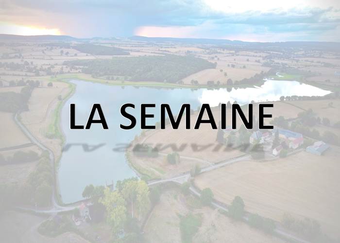 SE